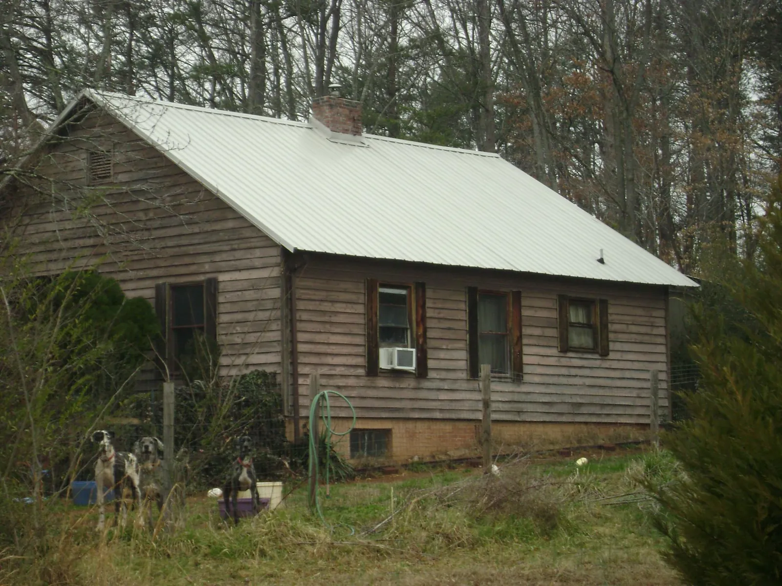 White metal roof on an old wood sided farmhouse, from a Metal Roof Installation job in Reubens